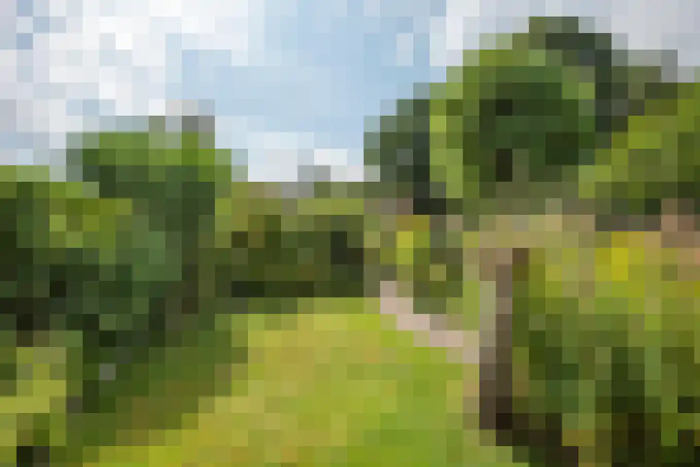 Deldensestraat 62 Borne thumbnail 39