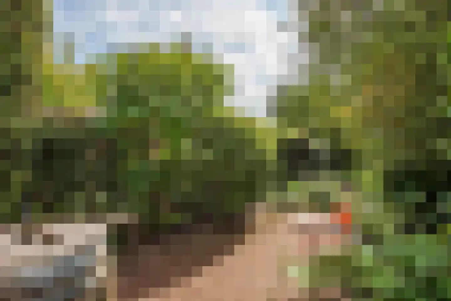 Deldensestraat 62 Borne thumbnail 4