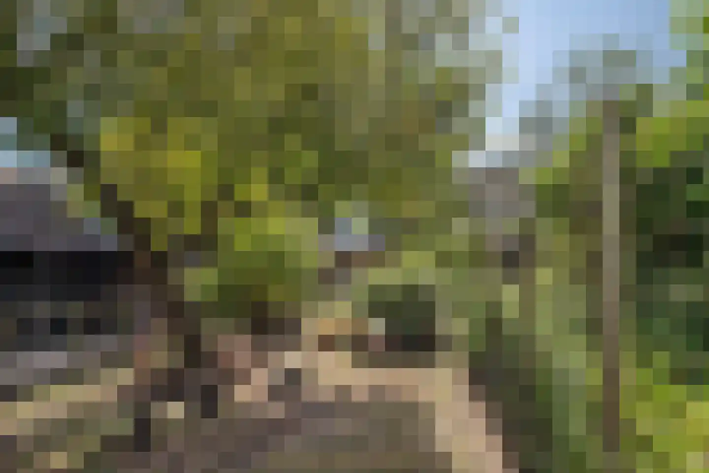 Deldensestraat 62 Borne thumbnail 5