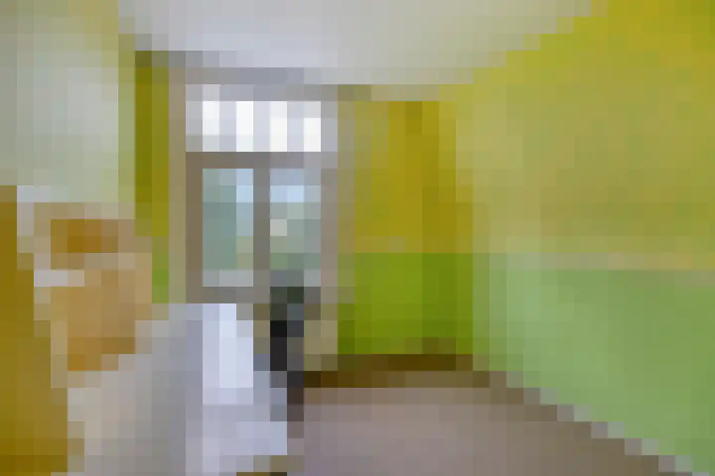 Deldensestraat 72 Goor thumbnail 21
