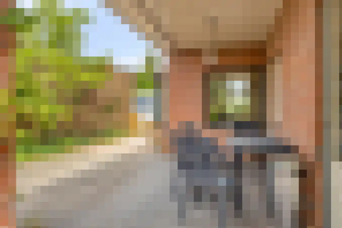 Deldensestraat 72 Goor thumbnail 27