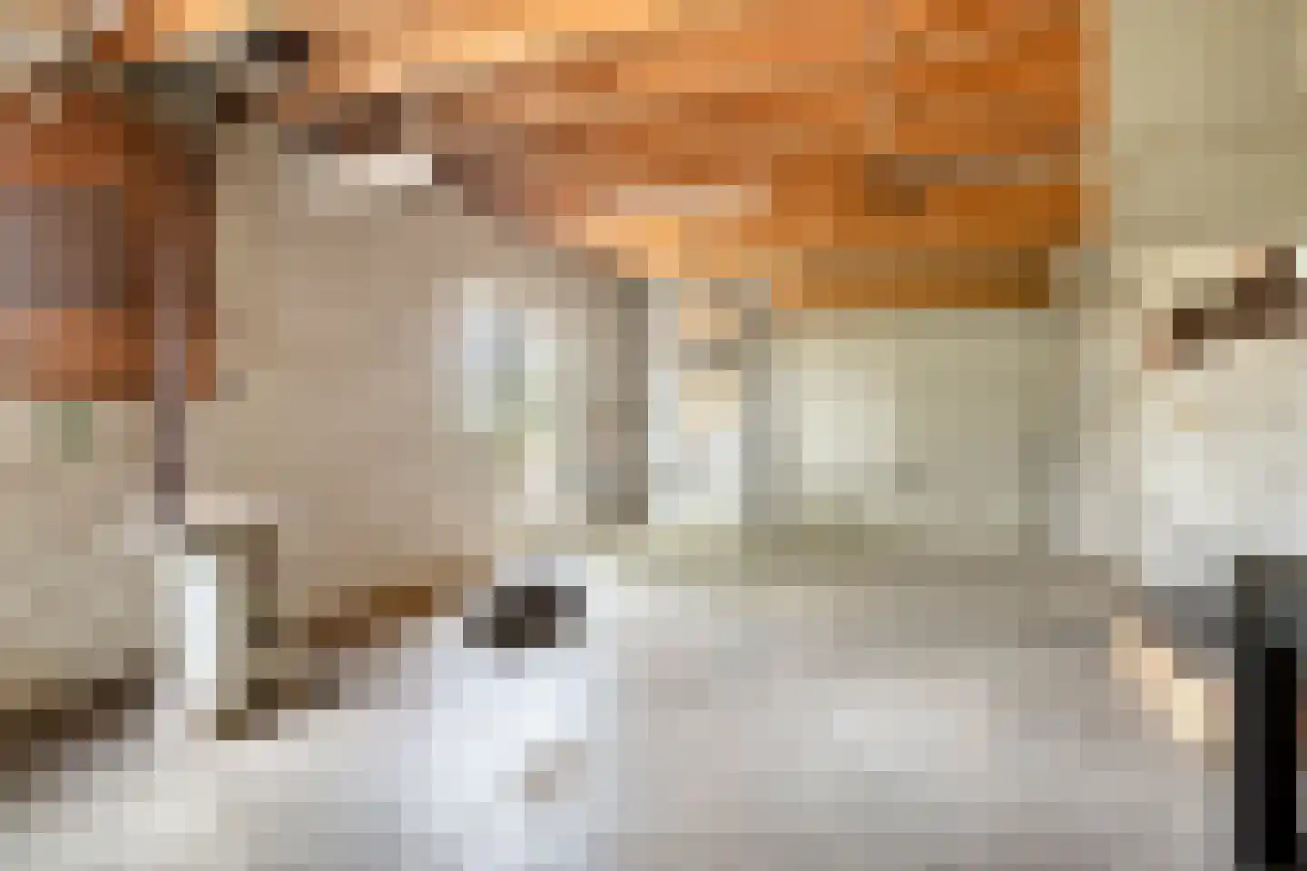 Deldensestraat 72 Goor thumbnail 32