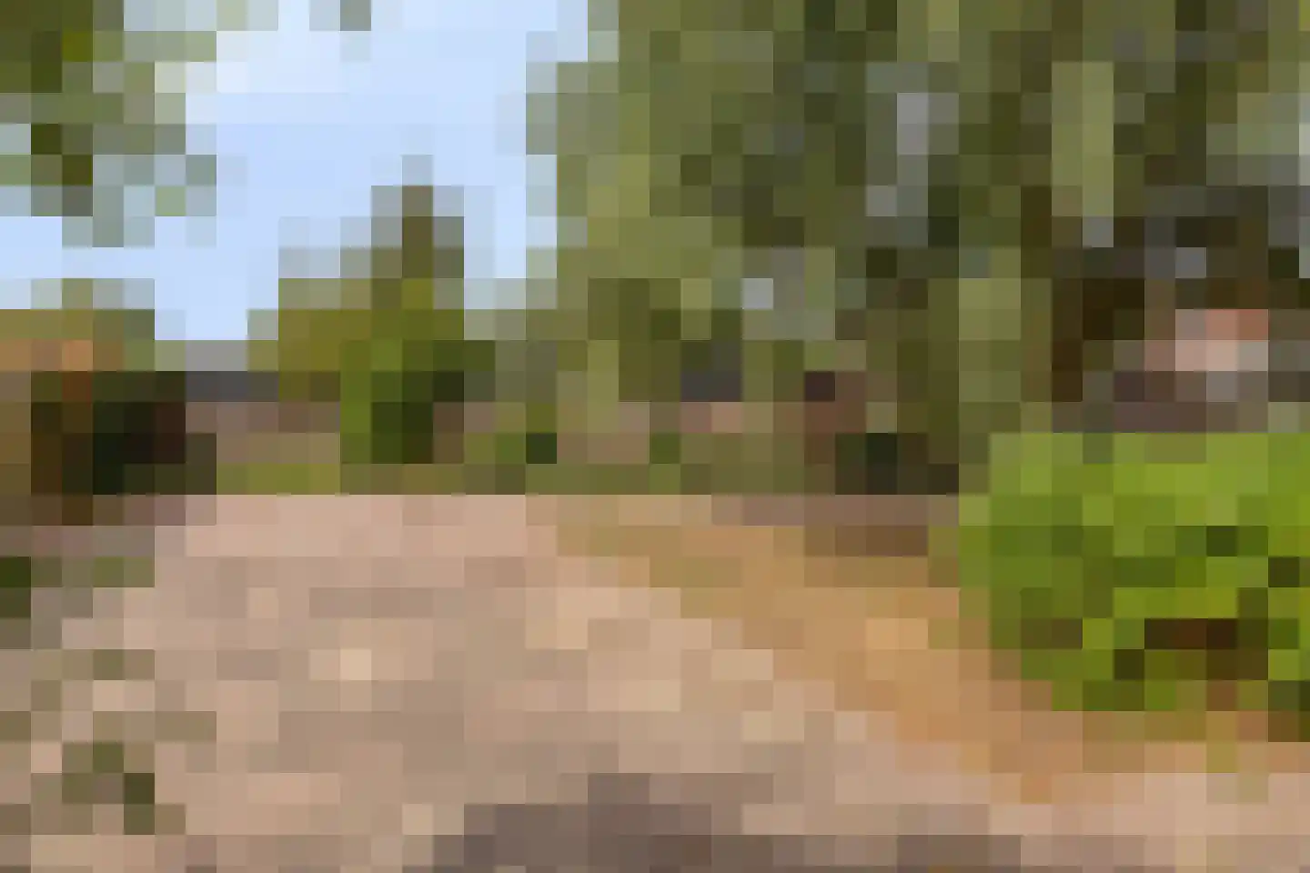Deldensestraat 72 Goor thumbnail 34