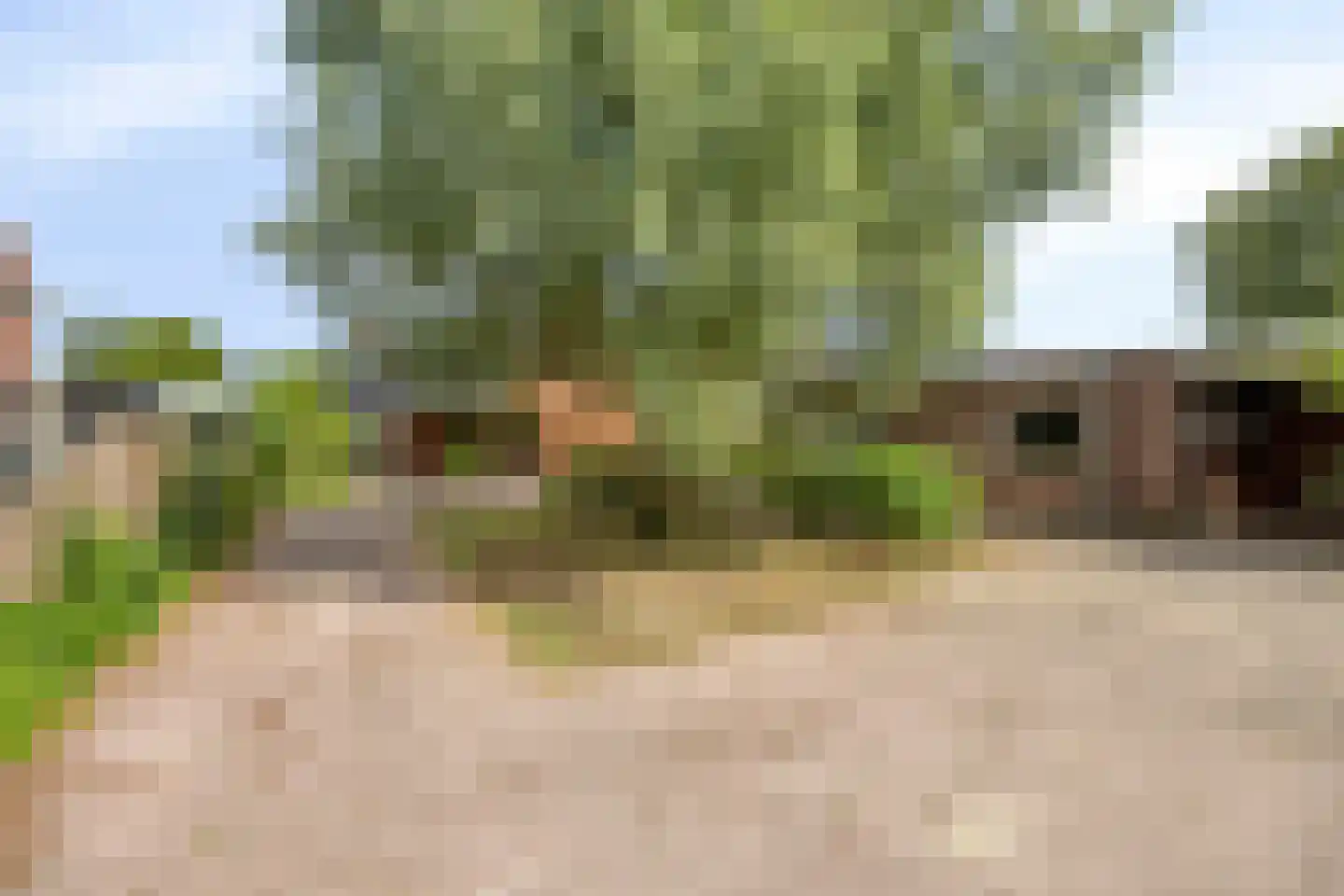 Deldensestraat 72 Goor thumbnail 35