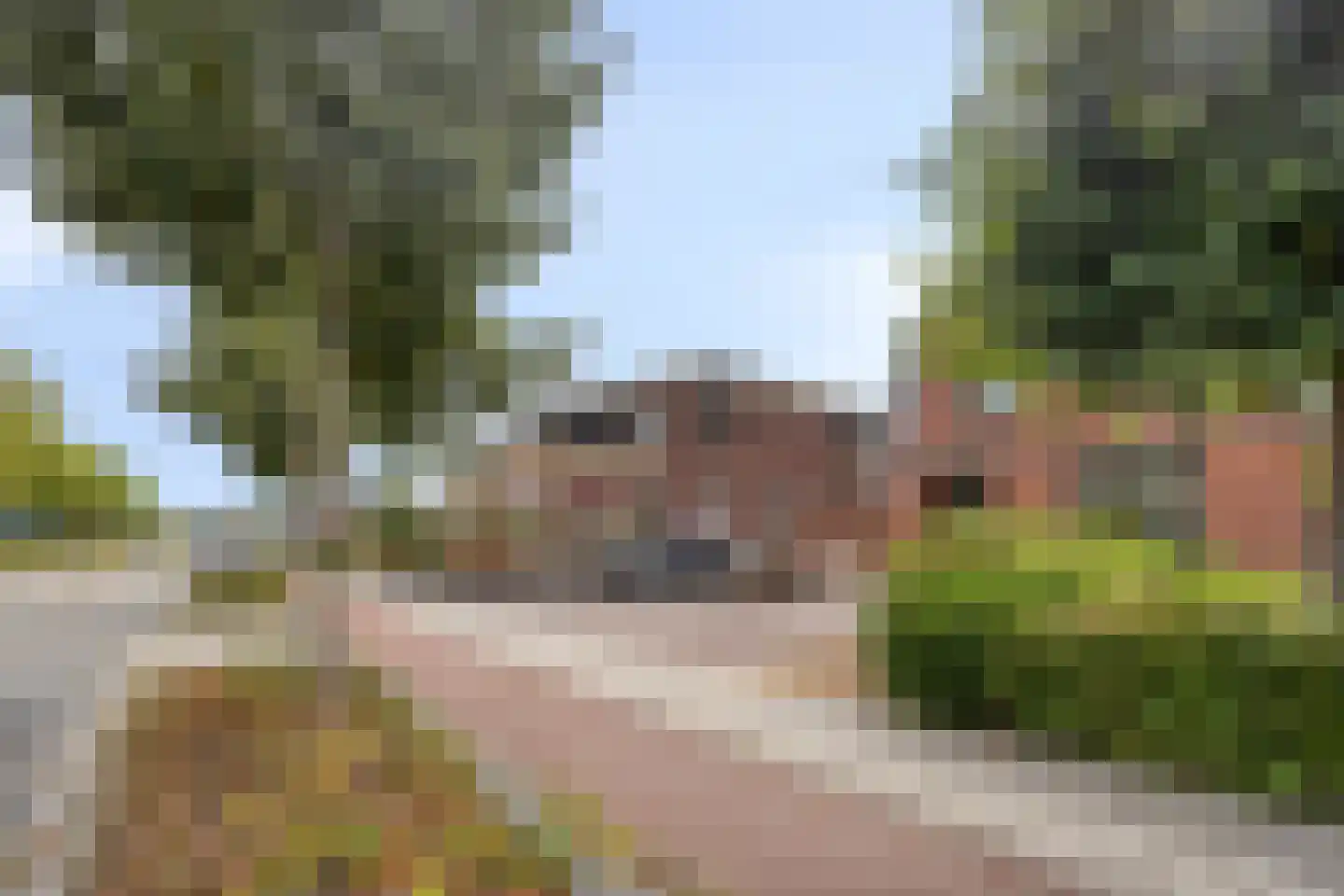 Deldensestraat 72 Goor thumbnail 37