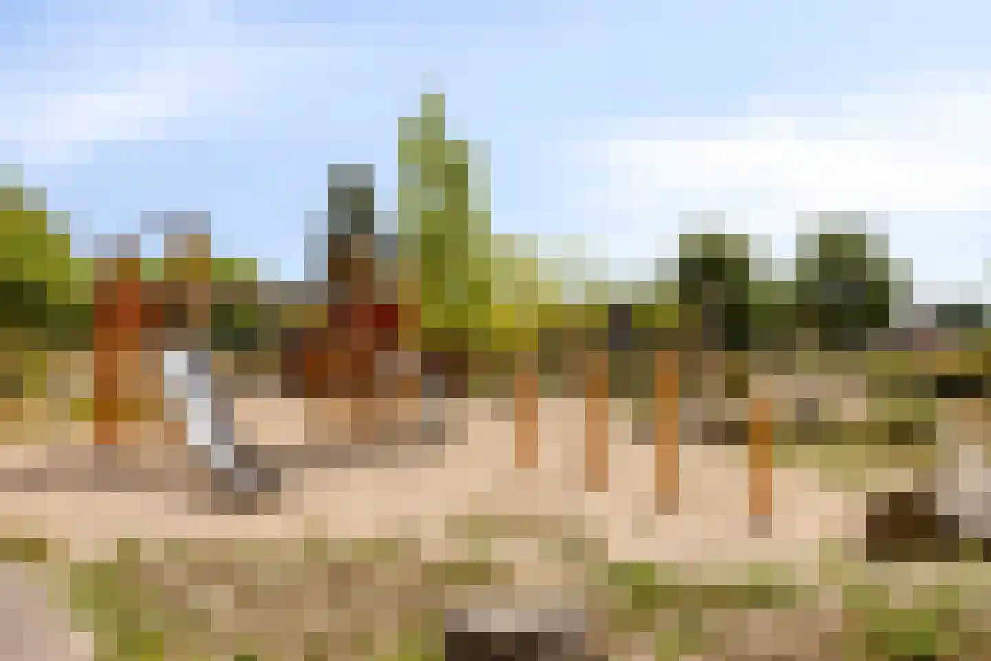 Deldensestraat 72 Goor thumbnail 39