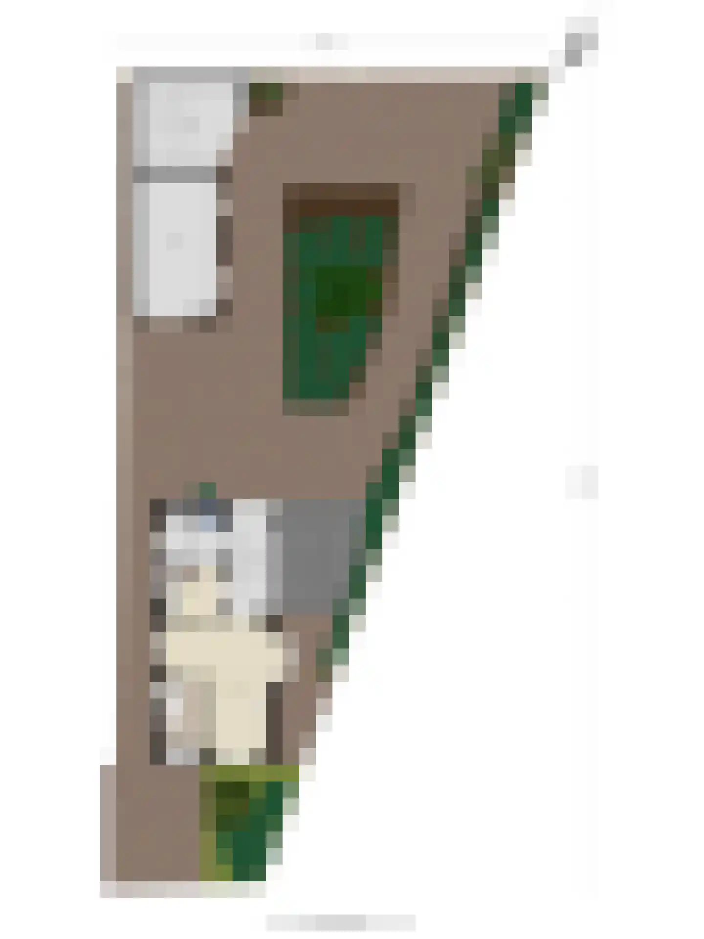 Deldensestraat 72 Goor thumbnail 43