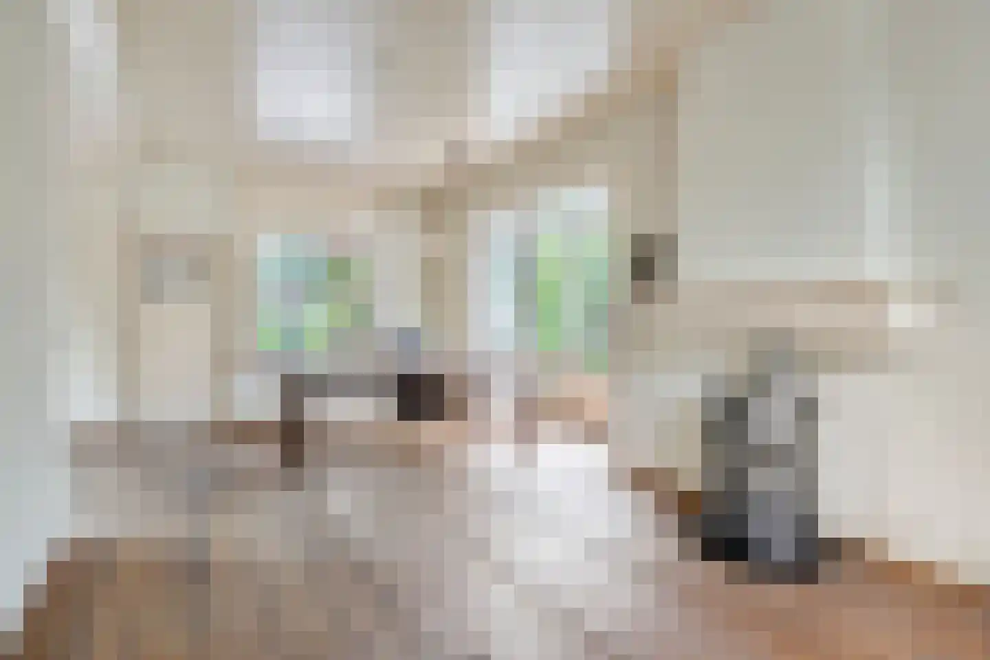 Deldensestraat 72 Goor thumbnail 6