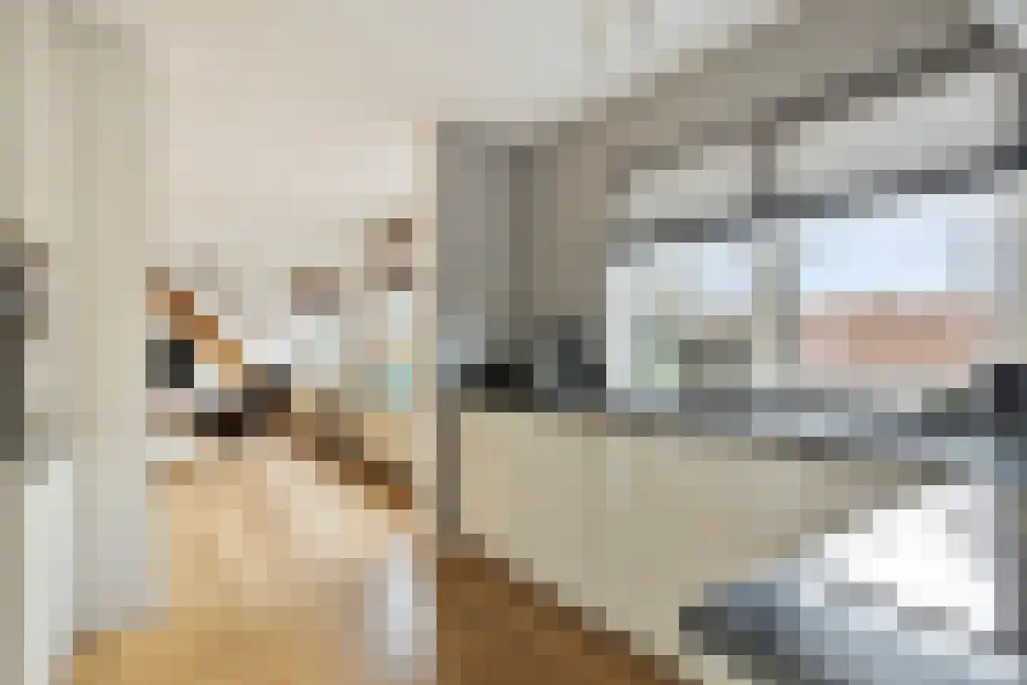 Deldensestraat 74 a Borne thumbnail 17