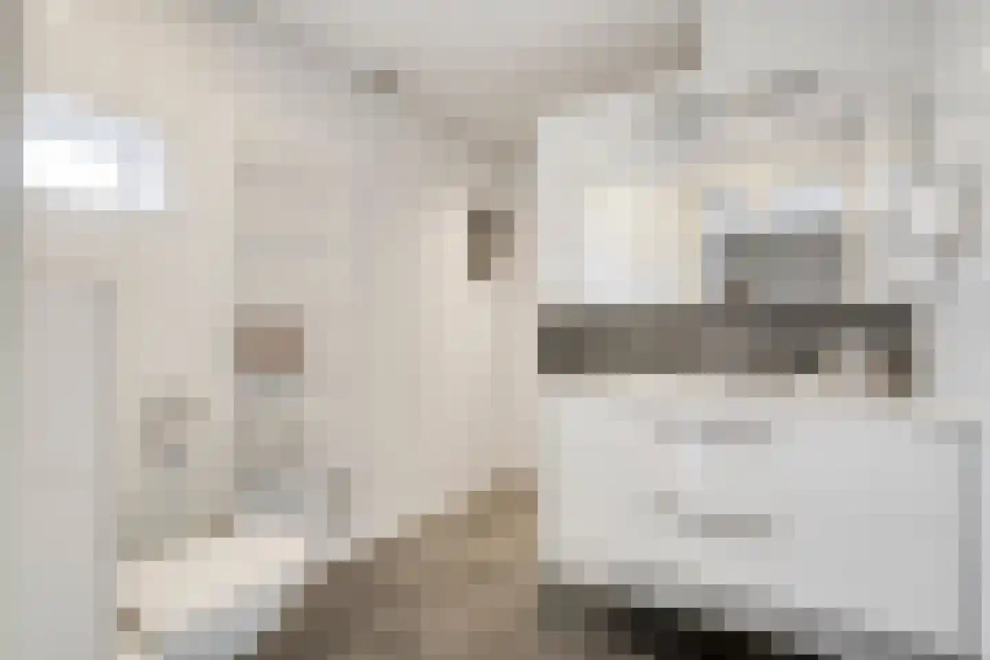 Deldensestraat 74 a Borne thumbnail 22
