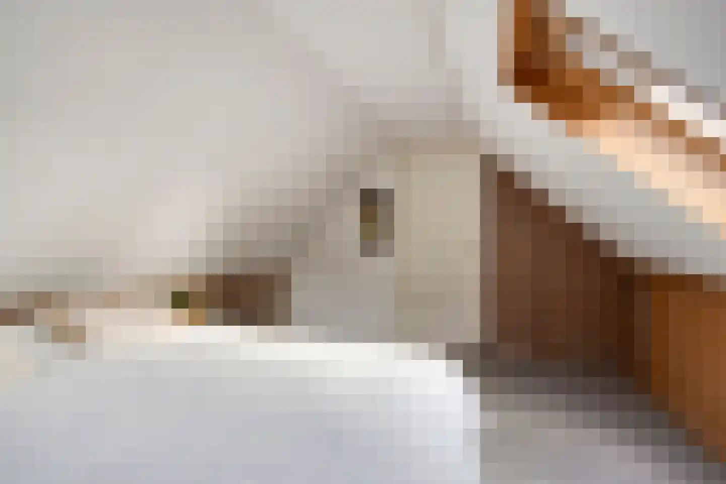 Deldensestraat 74 a Borne thumbnail 26