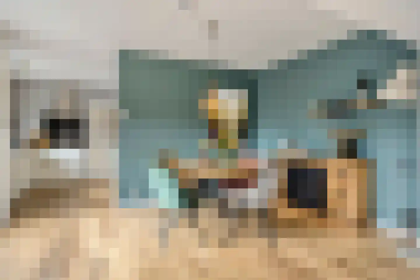 Deldensestraat 74 a Borne thumbnail 4