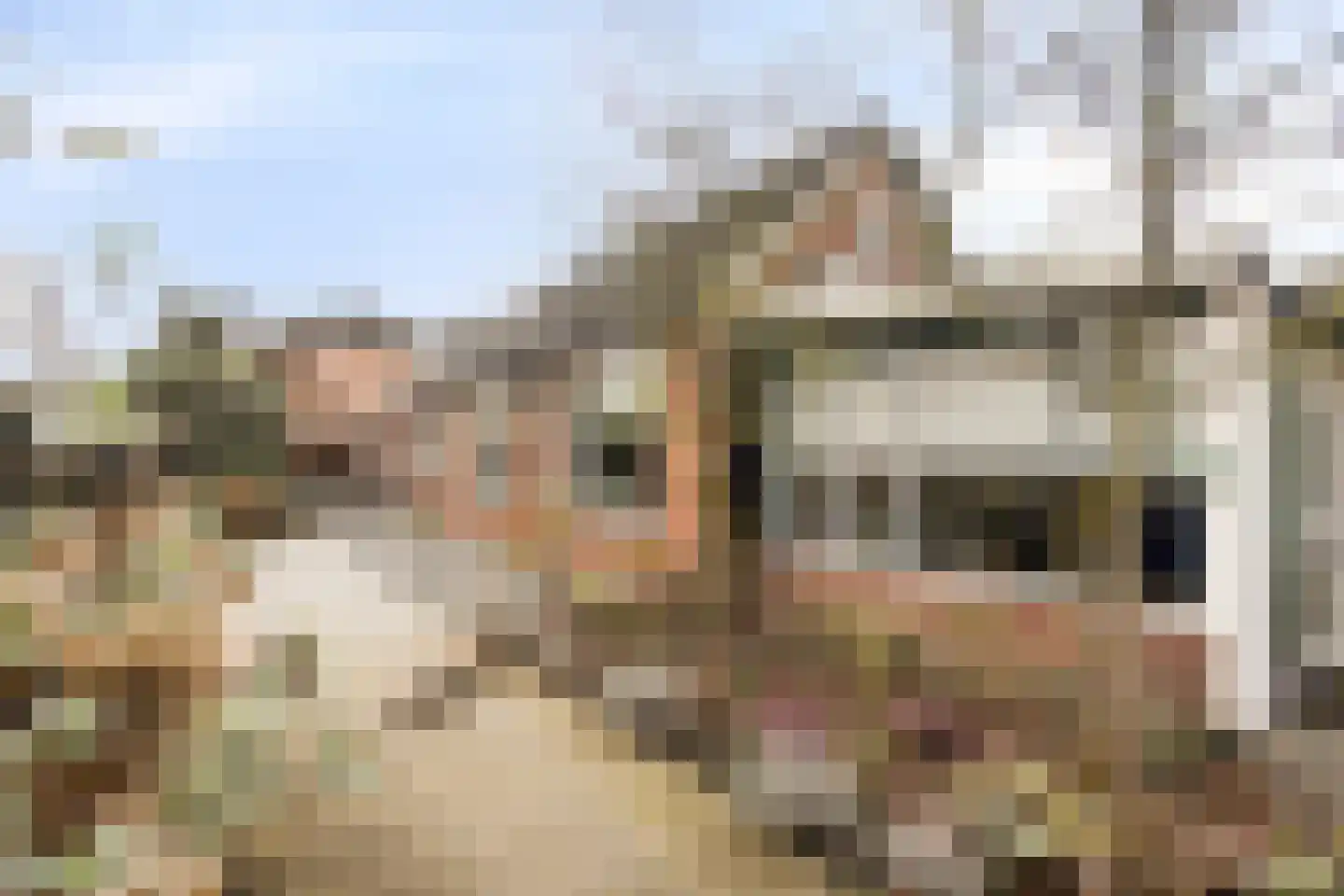 Deldensestraat 74 a Borne thumbnail 6