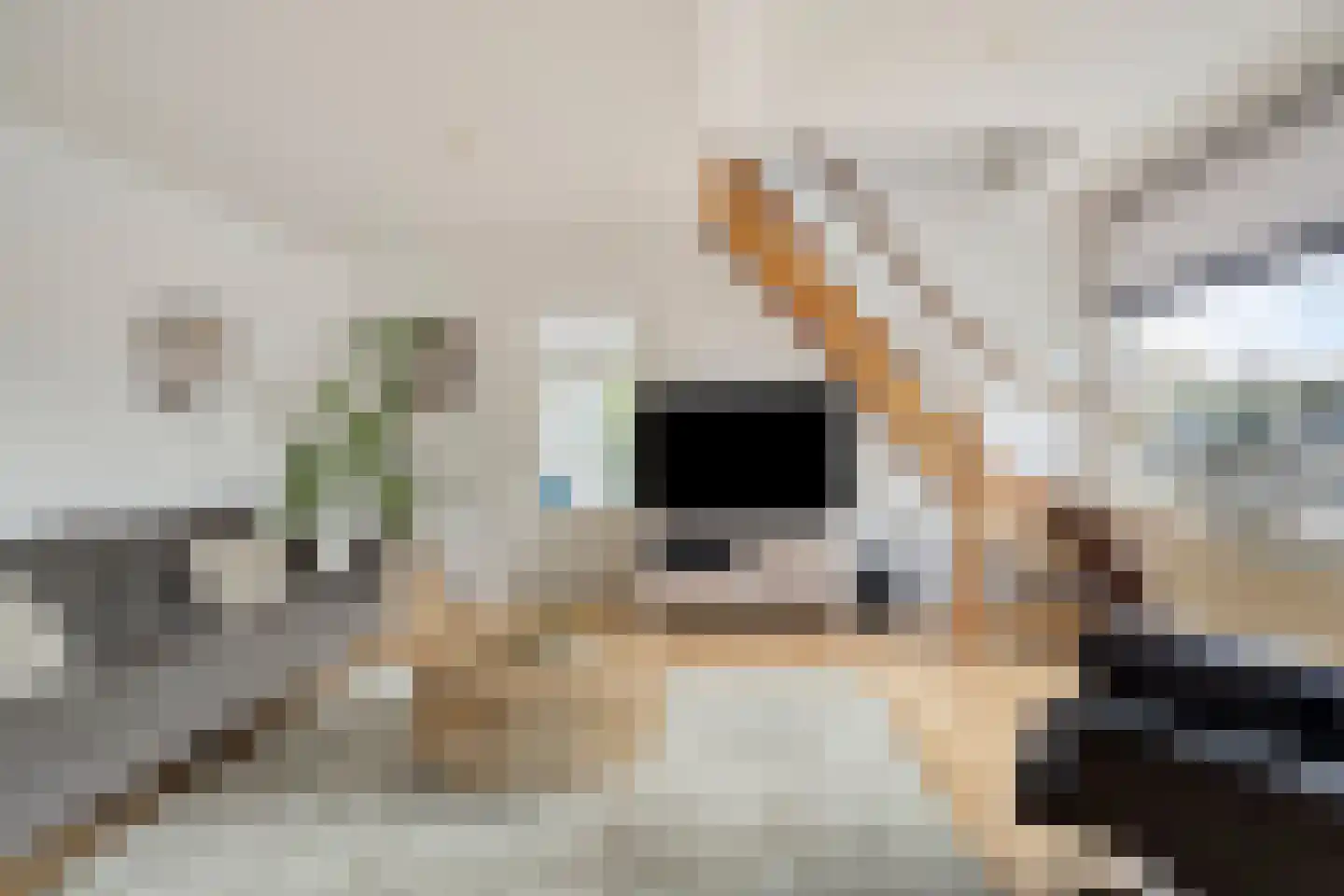 Deldensestraat 74 a Borne thumbnail 9