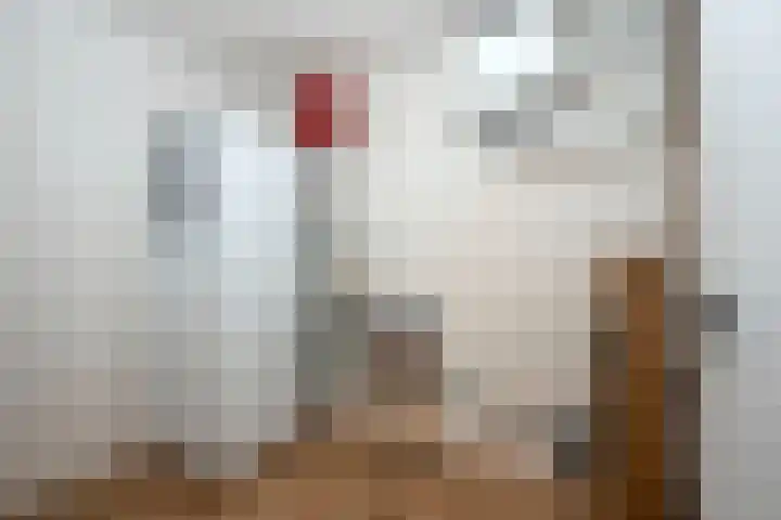 Deldensestraat 8 A Borne thumbnail 15