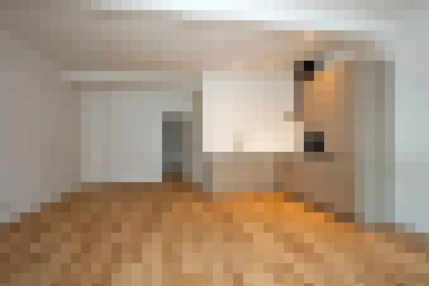 Deldensestraat 8 A Borne thumbnail 9