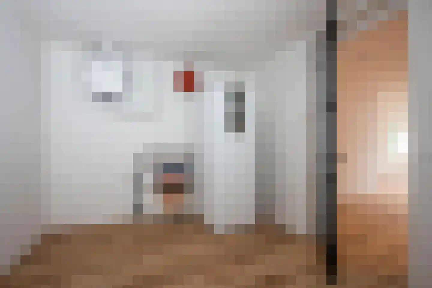 Deldensestraat 8 B Borne thumbnail 18