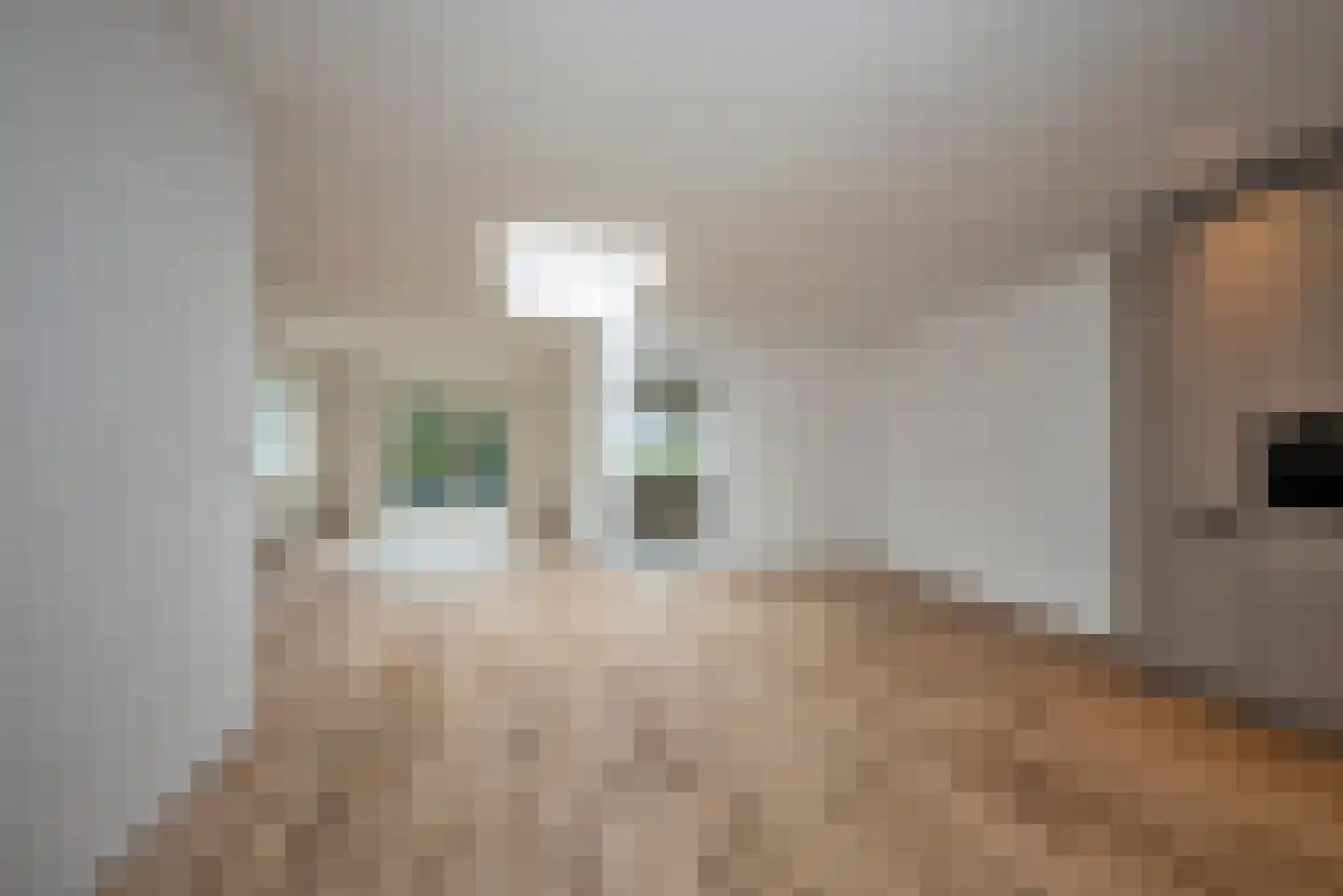 Deldensestraat 8 B Borne thumbnail 7