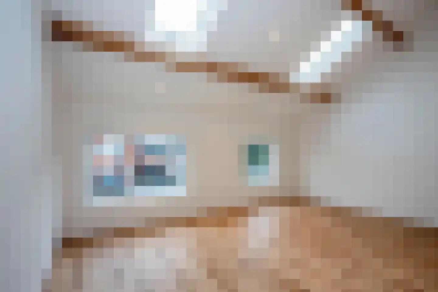 Deldensestraat 8 Borne thumbnail 17