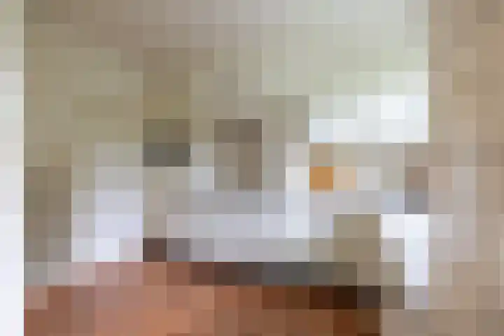 Deldenseweg 2 Vorden thumbnail 13