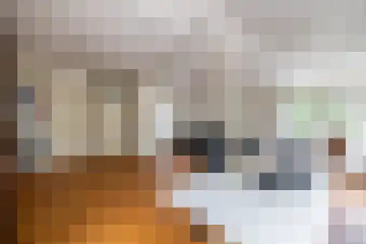 Deldenseweg 2 Vorden thumbnail 21