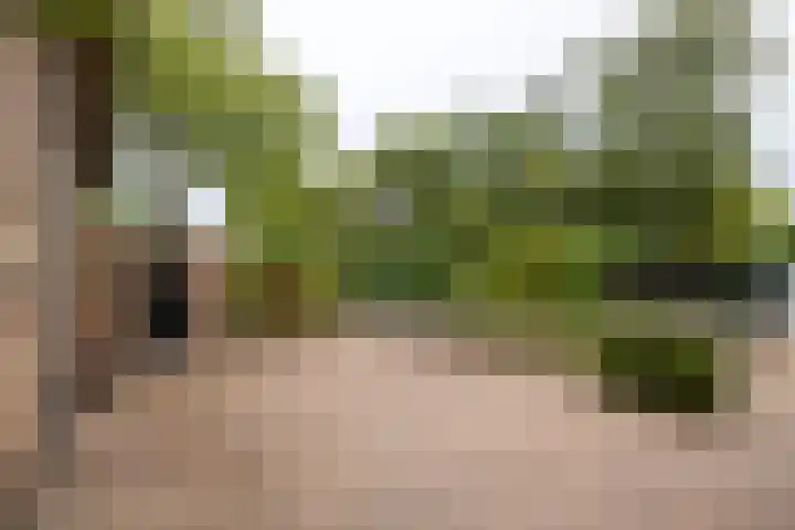 Deldenseweg 2 Vorden thumbnail 24