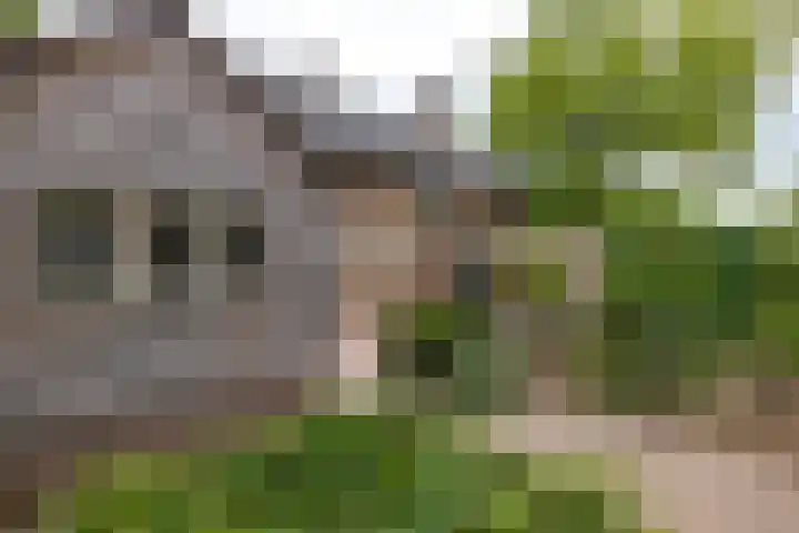 Deldenseweg 2 Vorden thumbnail 25