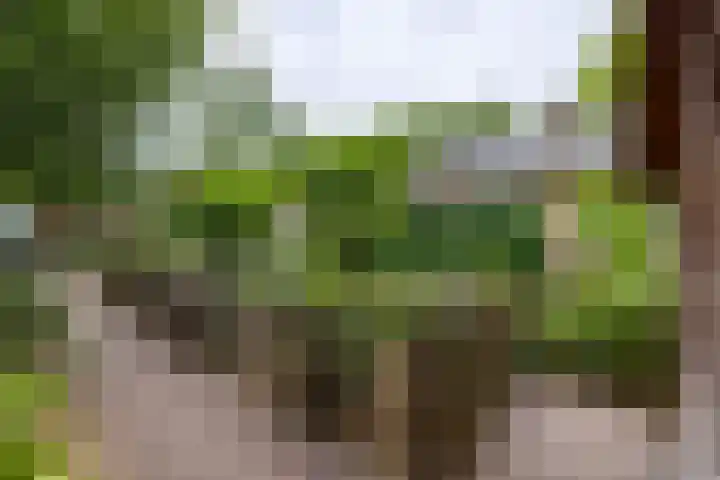 Deldenseweg 2 Vorden thumbnail 26