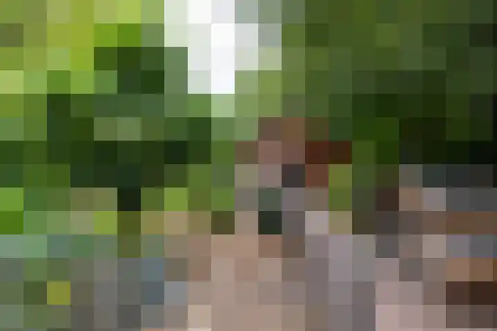 Deldenseweg 2 Vorden thumbnail 27