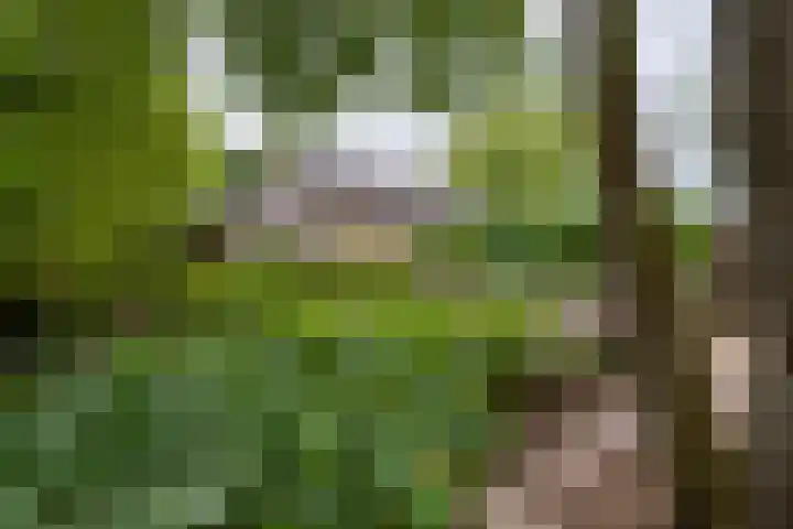 Deldenseweg 2 Vorden thumbnail 28