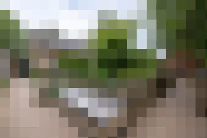 Deldenseweg 2 Vorden thumbnail 29