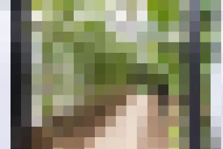 Deldenseweg 2 Vorden thumbnail 31