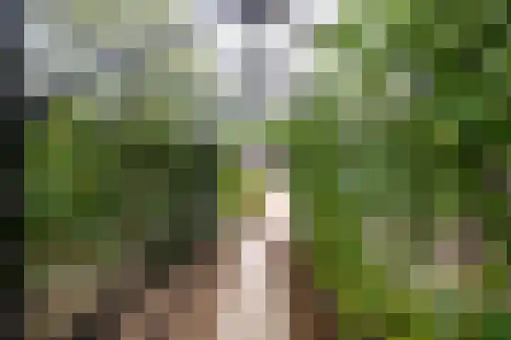 Deldenseweg 2 Vorden thumbnail 32