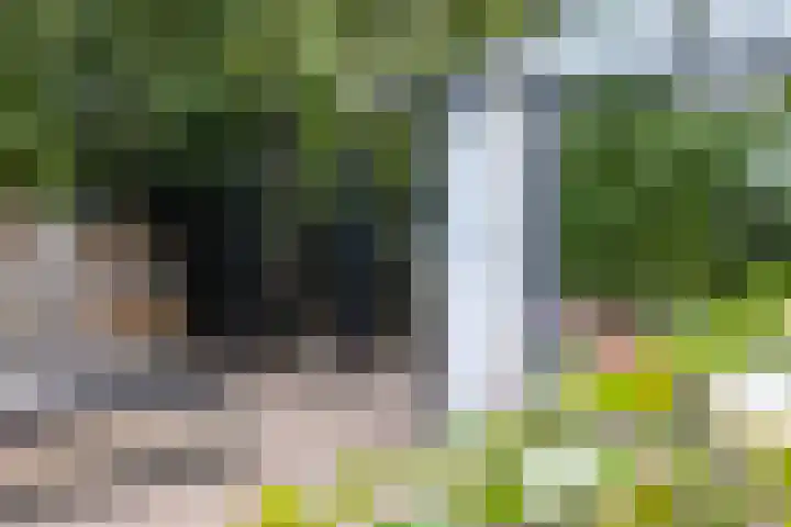 Deldenseweg 2 Vorden thumbnail 33