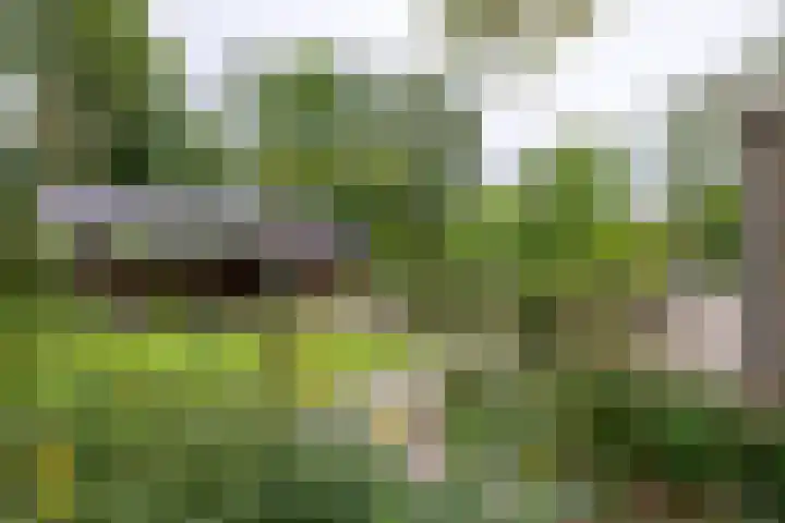 Deldenseweg 2 Vorden thumbnail 34