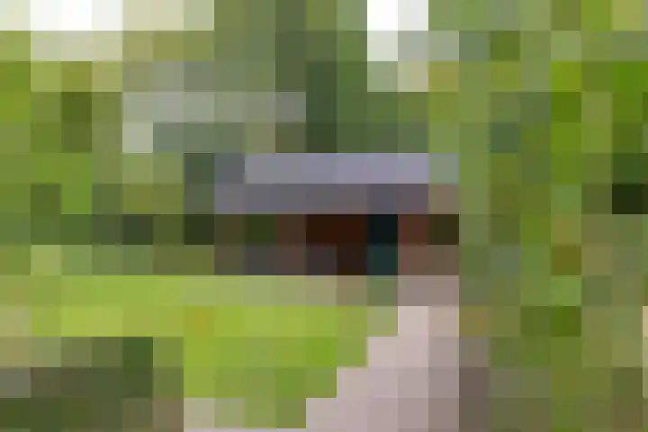 Deldenseweg 2 Vorden thumbnail 35