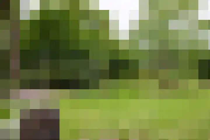 Deldenseweg 2 Vorden thumbnail 37