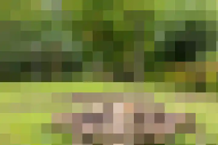 Deldenseweg 2 Vorden thumbnail 38