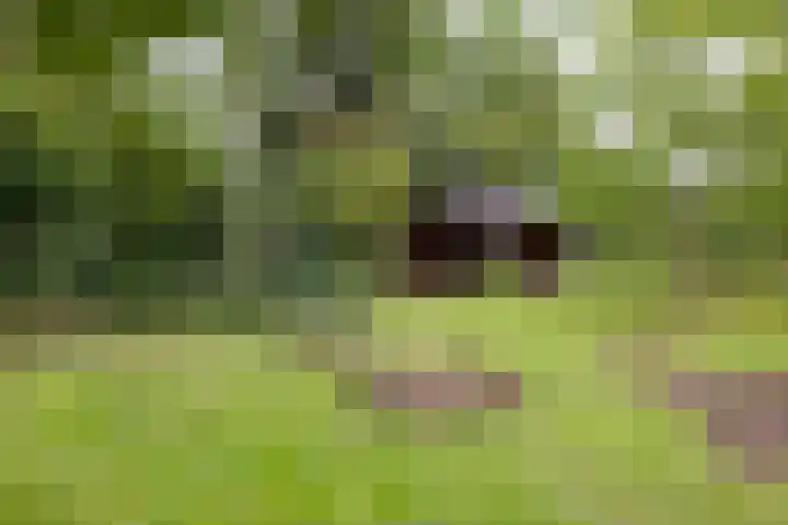 Deldenseweg 2 Vorden thumbnail 39