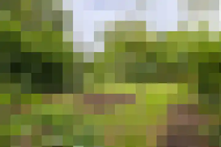 Deldenseweg 2 Vorden thumbnail 40