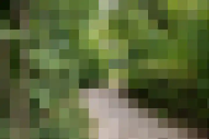 Deldenseweg 2 Vorden thumbnail 41