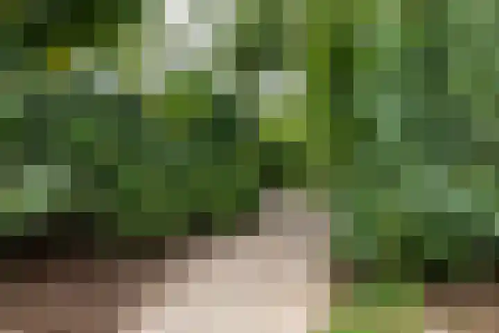 Deldenseweg 2 Vorden thumbnail 42