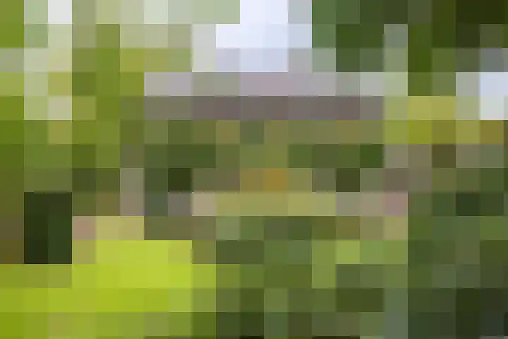 Deldenseweg 2 Vorden thumbnail 43