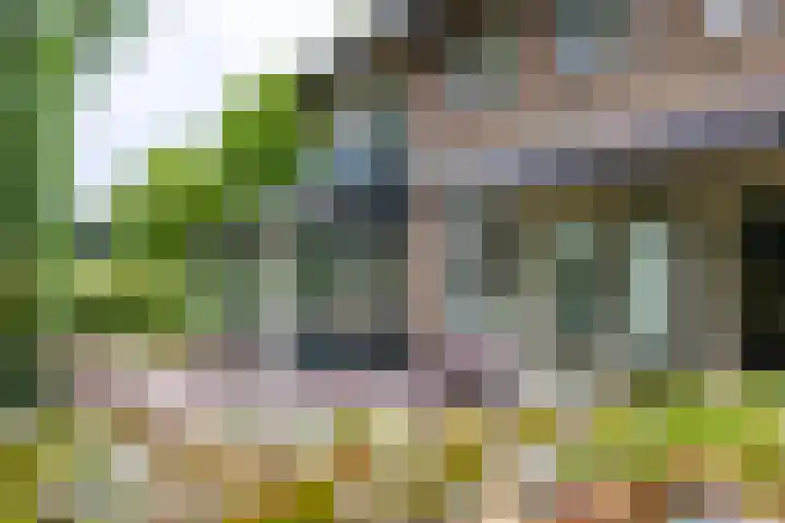 Deldenseweg 2 Vorden thumbnail 44