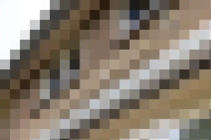 Deldenseweg 2 Vorden thumbnail 45