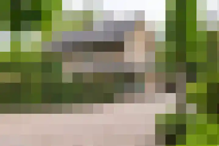 Deldenseweg 2 Vorden thumbnail 47