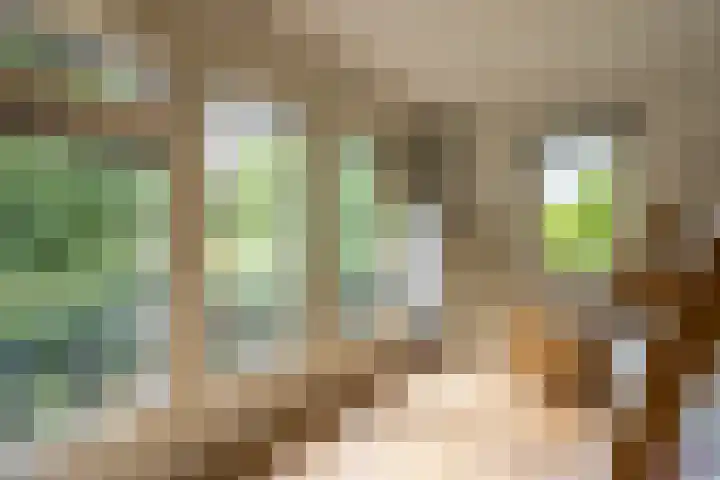 Deldenseweg 2 Vorden thumbnail 54