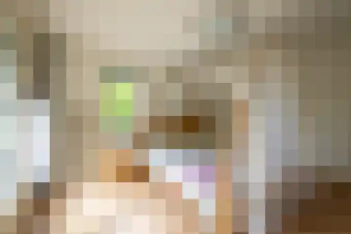 Deldenseweg 2 Vorden thumbnail 55