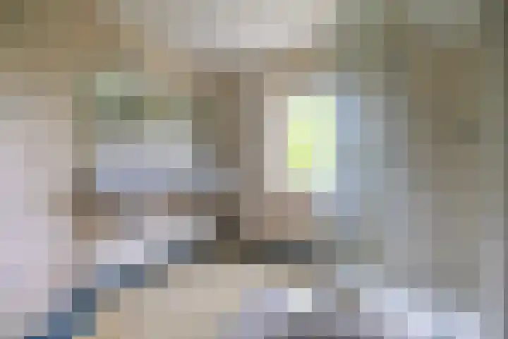 Deldenseweg 2 Vorden thumbnail 66