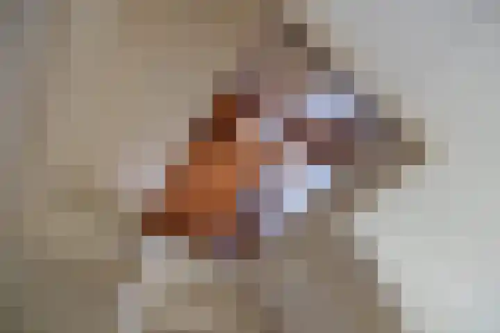Deldenseweg 2 Vorden thumbnail 70